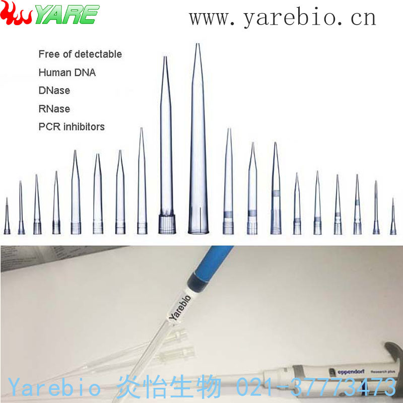 PCRྻоͷ